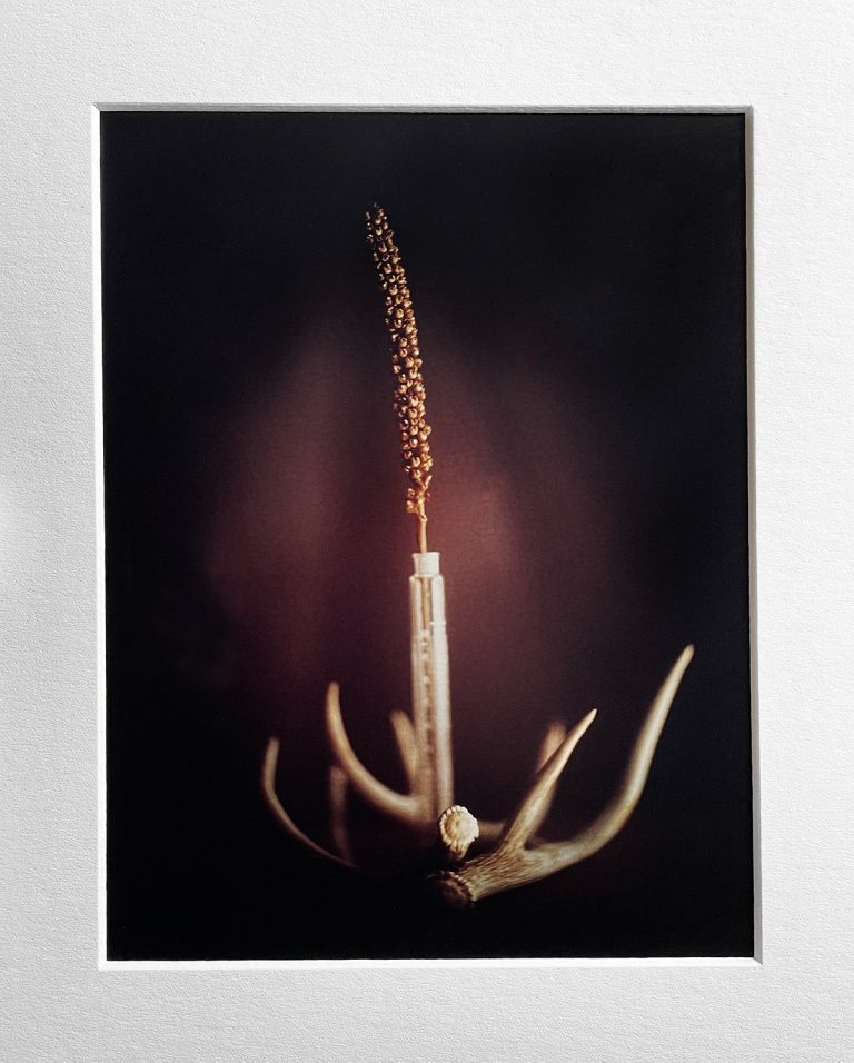 Las Cruces Tattoo Uncovering the Rich History and Cultural